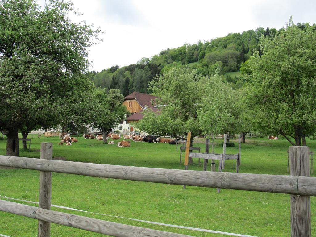 Appartamento Donisbauerhof Lieserbrücke Esterno foto