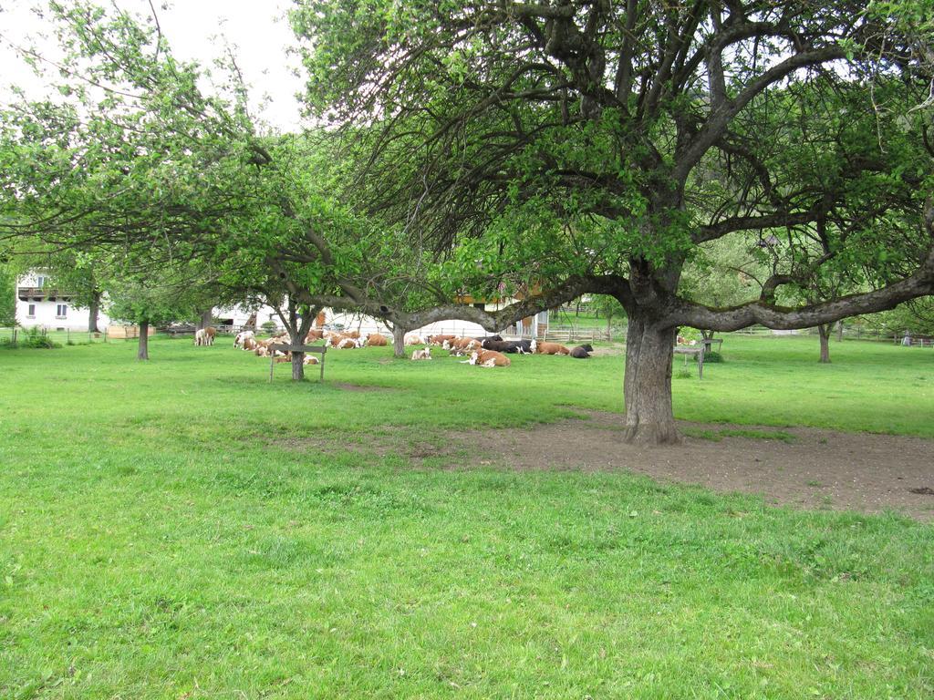 Appartamento Donisbauerhof Lieserbrücke Esterno foto