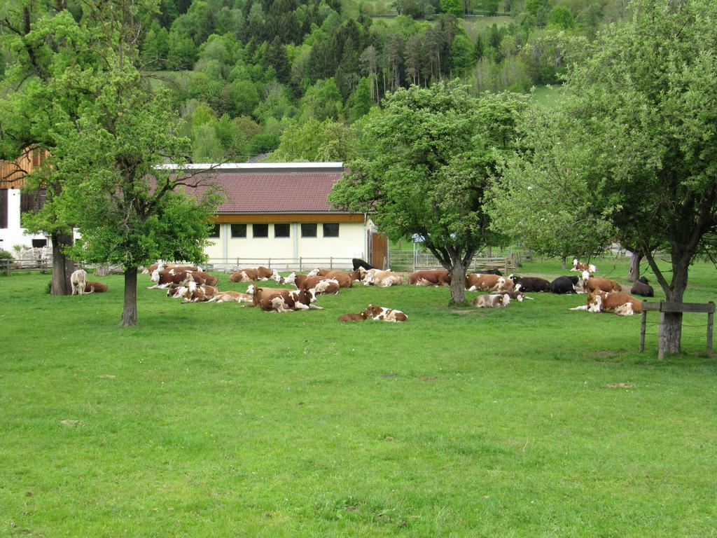 Appartamento Donisbauerhof Lieserbrücke Esterno foto